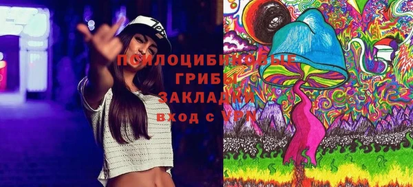 экстази Заводоуковск