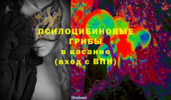 стафф Зеленодольск