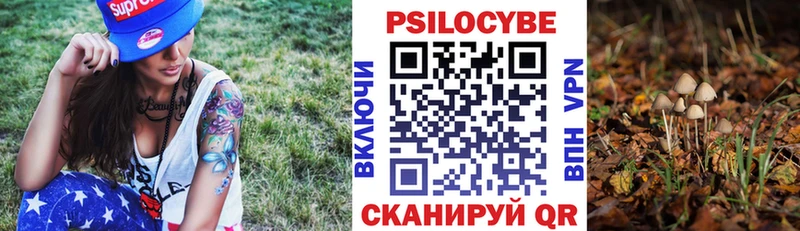Купить где  Козельск  Псилоцибиновые грибы Psilocybe 